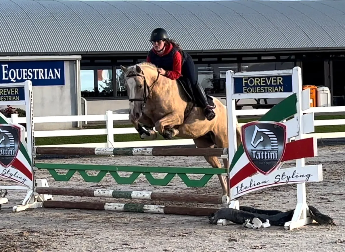 148 4 year old Palomino Filly - Image 1