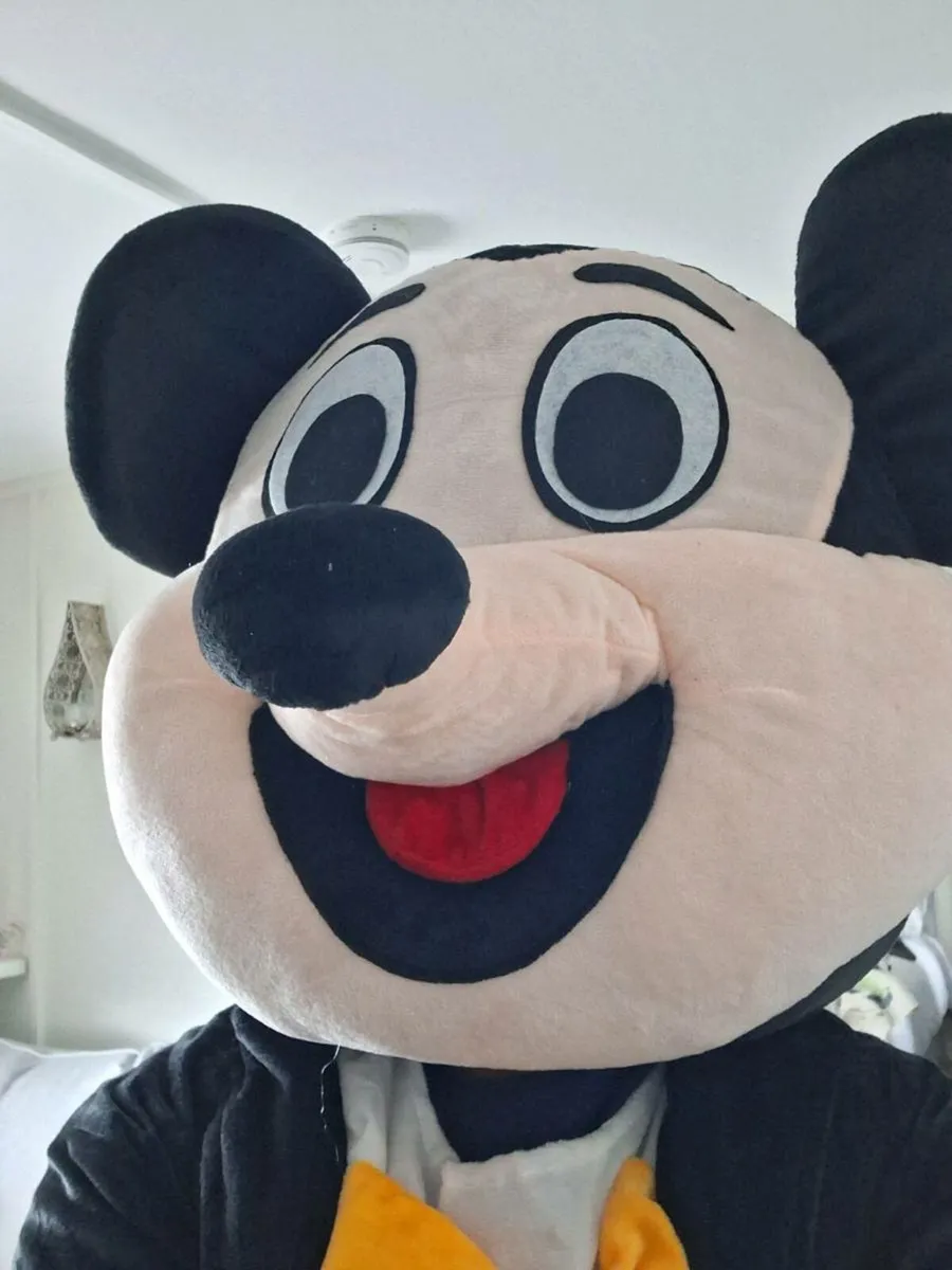 Full mickey mouse mascot adult - Image 1