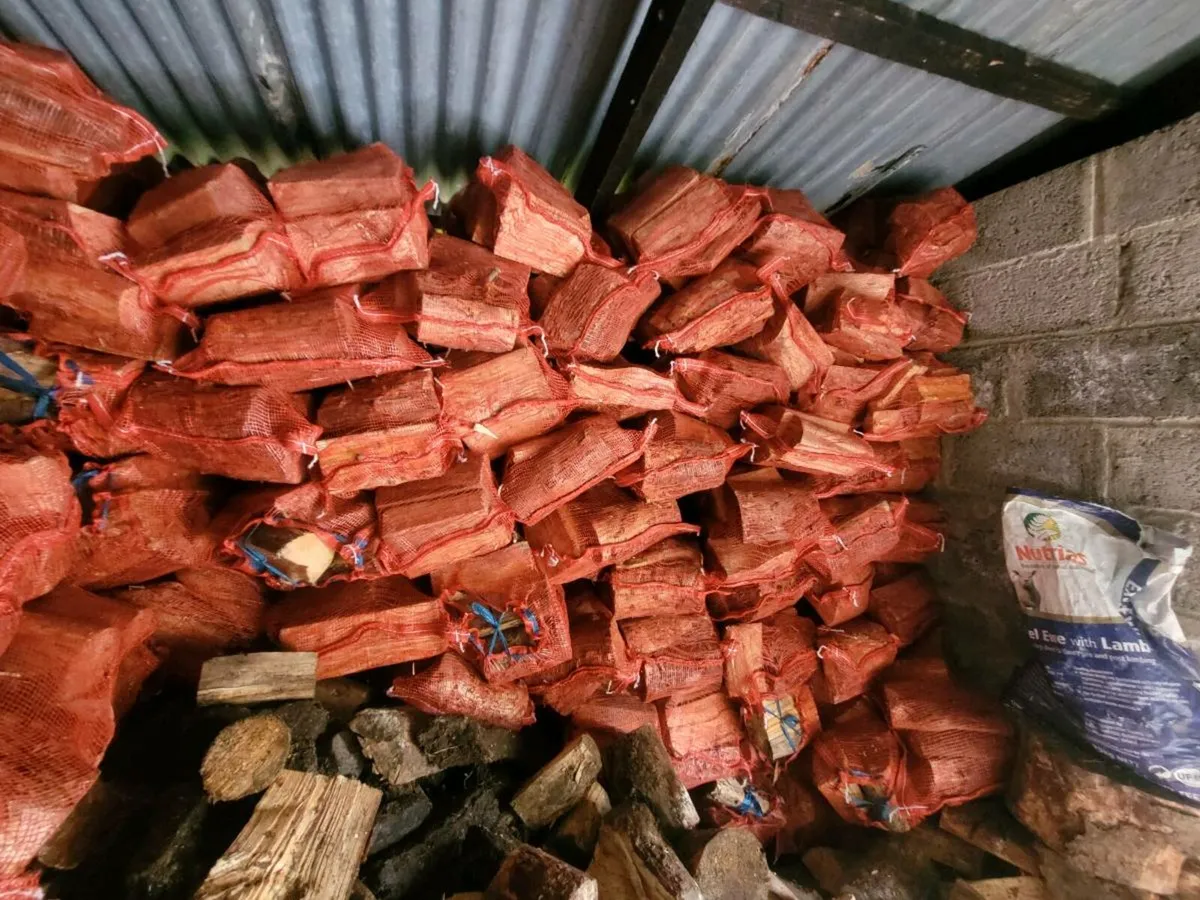 Firewood - Image 4