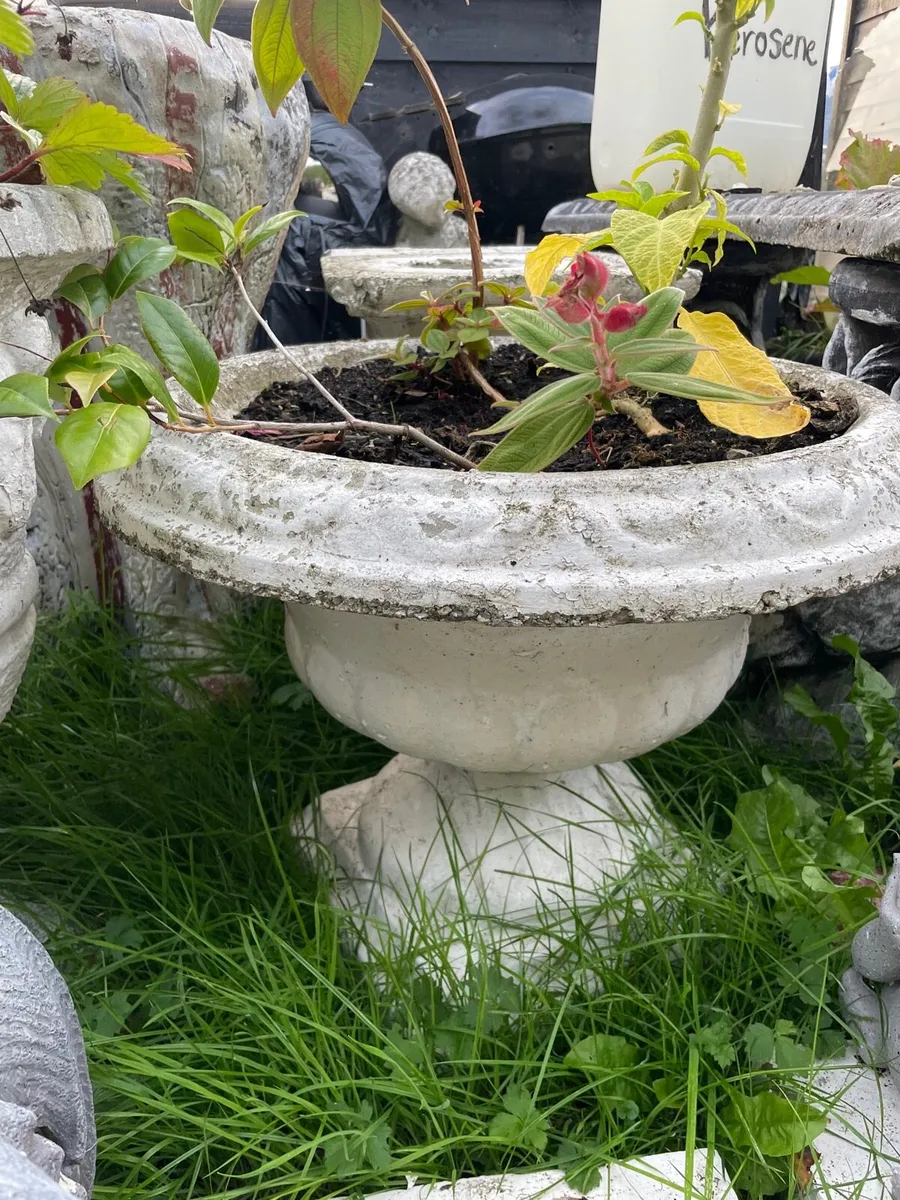 2 concrete pots - Image 2