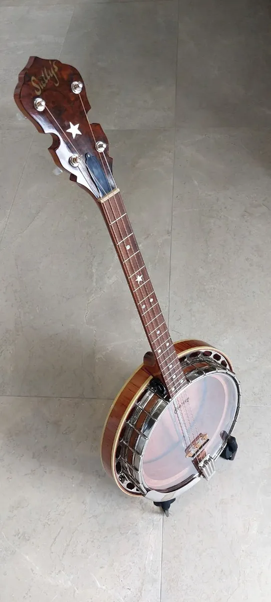 Sully Whyte Ladie Tenor banjo - Image 4