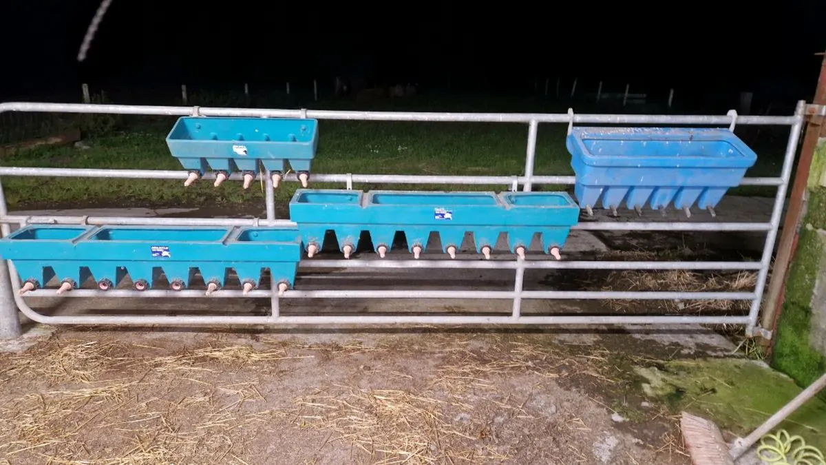 Calf feeding equipment - Image 1