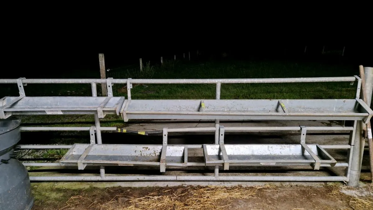 Calf feeding equipment - Image 2