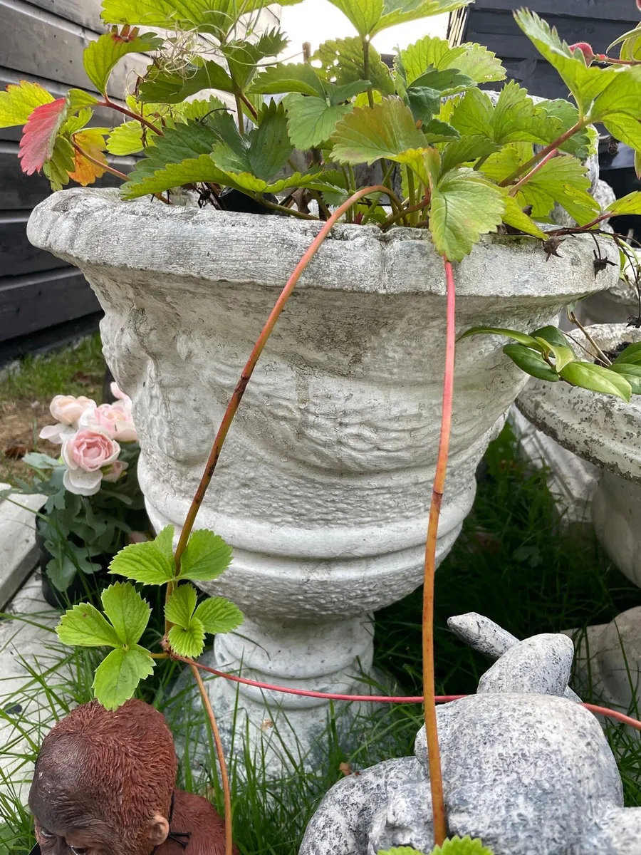 2 concrete flower pots + base - Image 1
