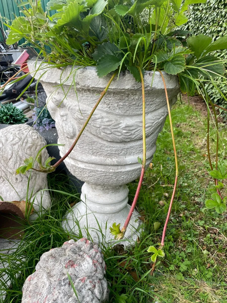 2 concrete flower pots + base - Image 3