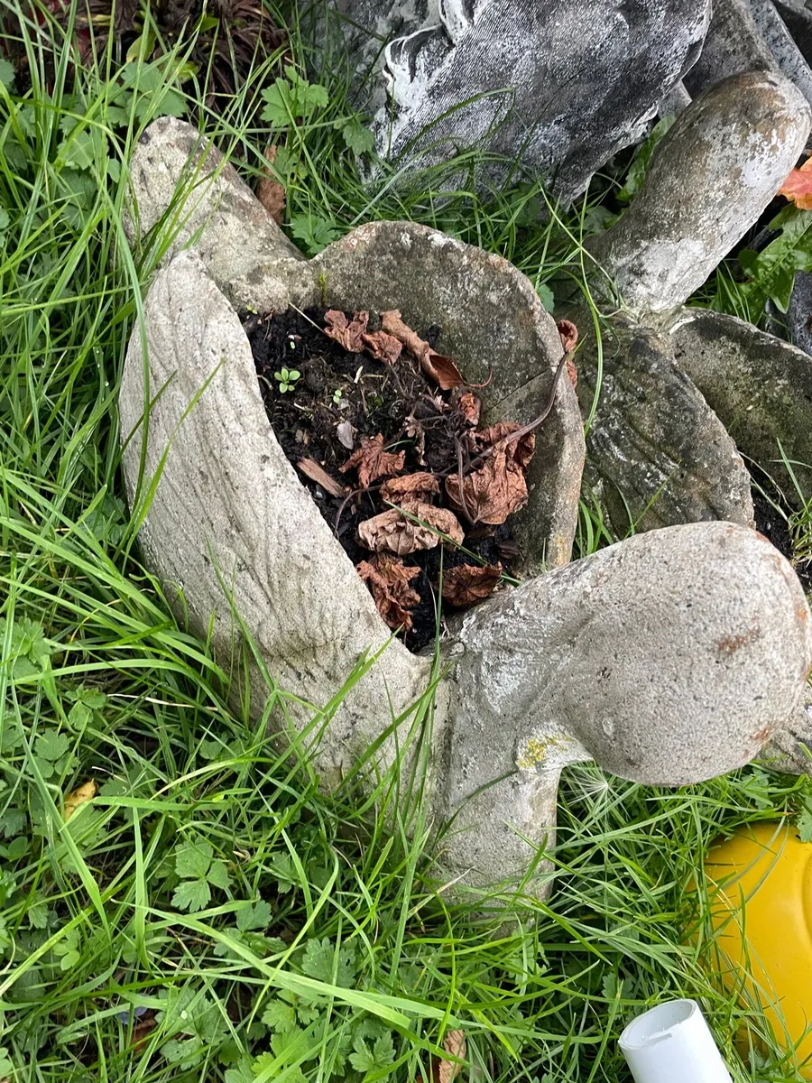 2 swans concrete flower pots - Image 1