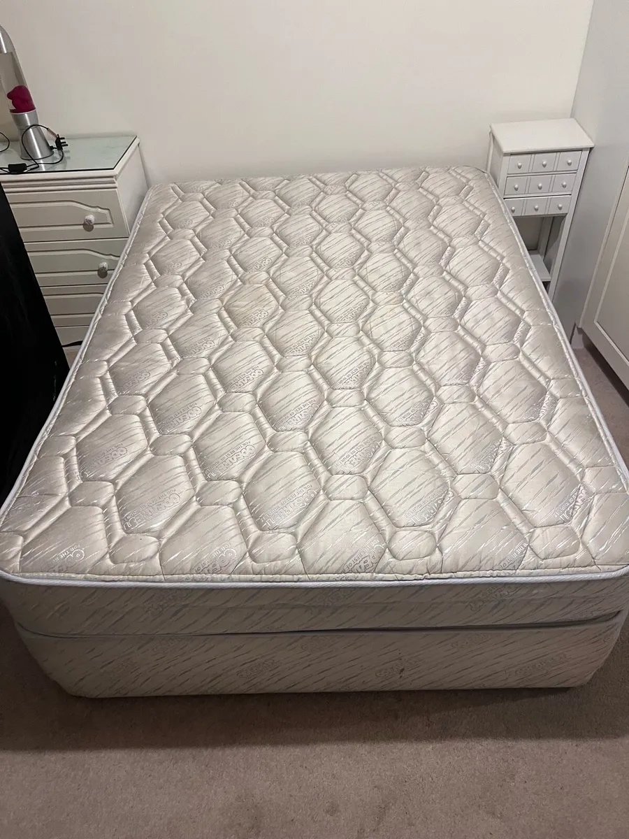 Double 4’6’’ Bed - Odearest - Image 2