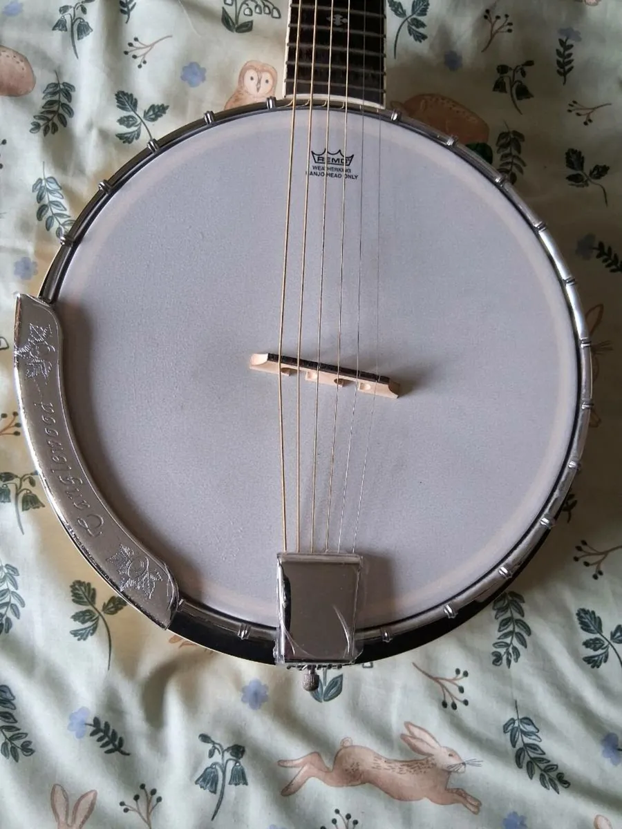 tanglewood banjo 6 string - Image 2
