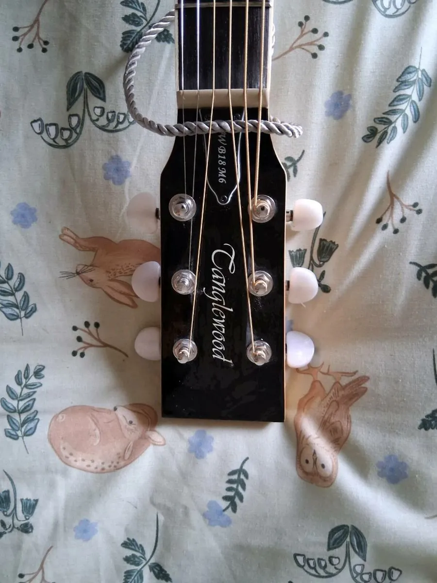tanglewood banjo 6 string - Image 3