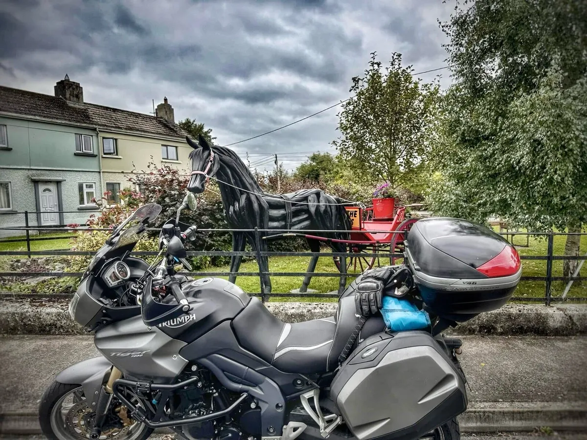 2099 Triumph Tiger 1050 abs - Image 2