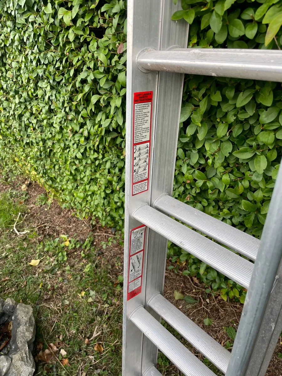 Ladder - Image 2