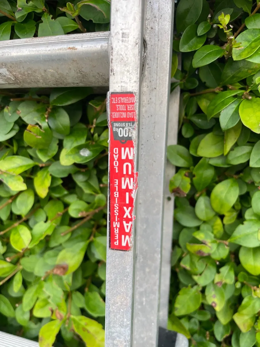 Ladder - Image 4