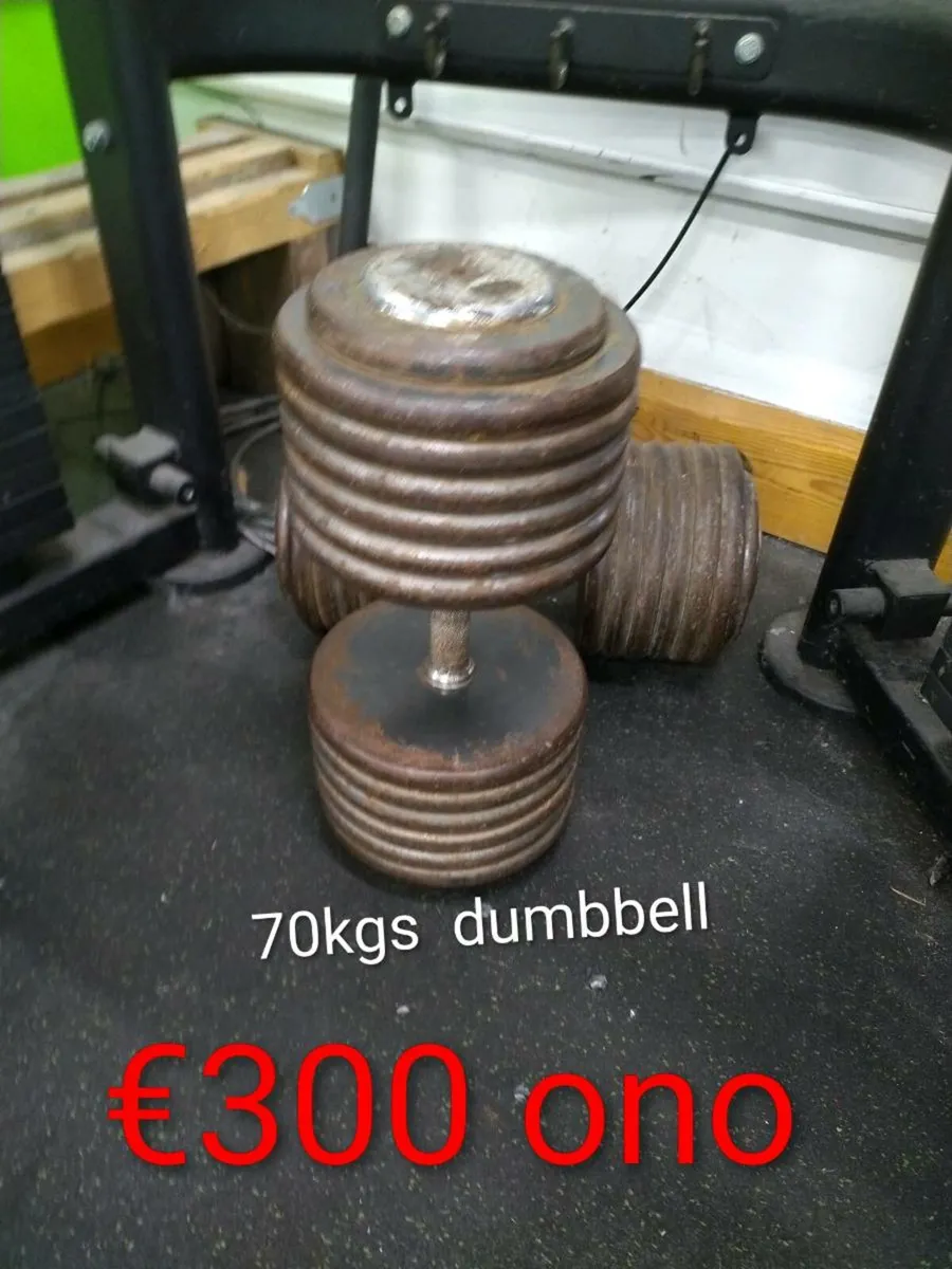 70kg Dumbbell