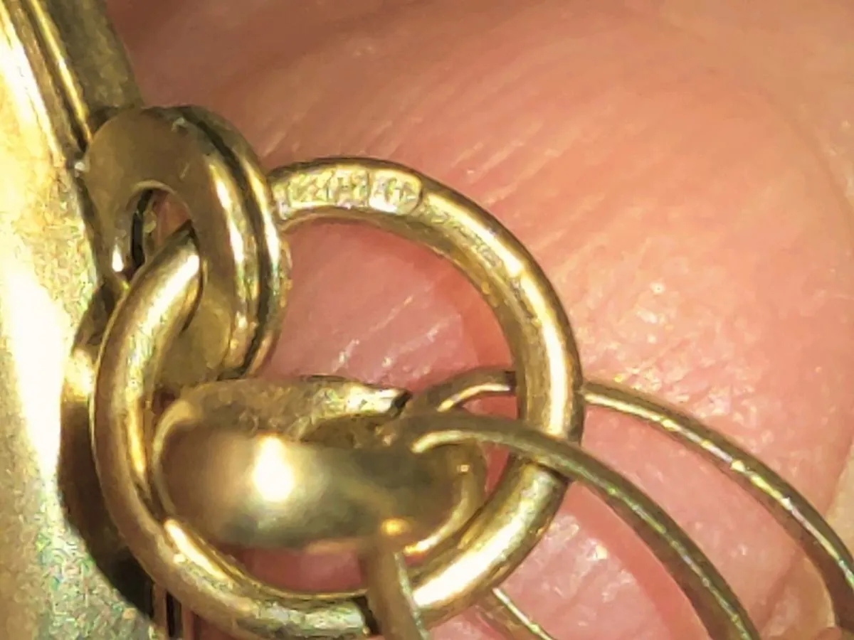 OVAL BELCHER LOCKET, 9CT Gold 11.40 Gram 22"Chain - Image 3