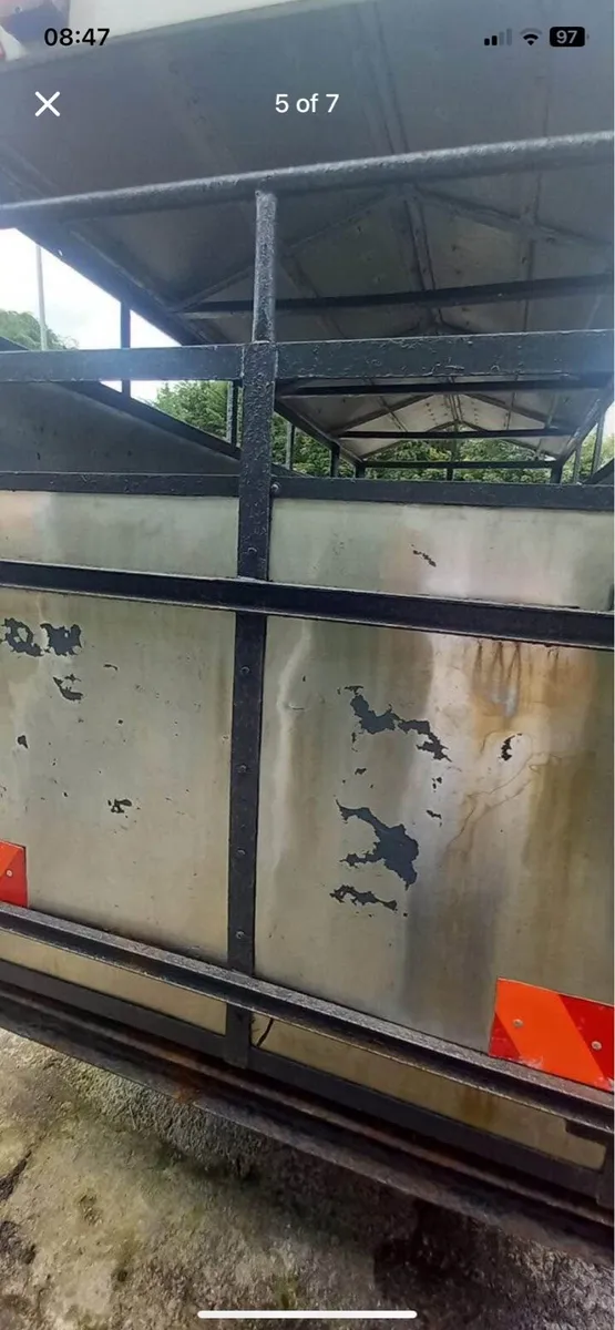 Cattle Trailer - Image 3