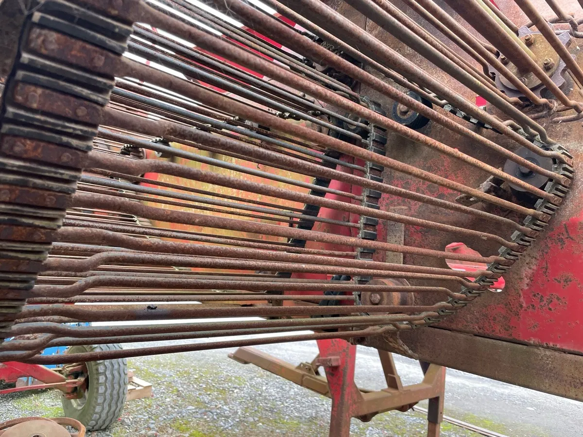 Beet Cleaner Loader - Image 3
