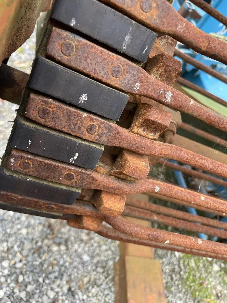 Beet Cleaner Loader - Image 4