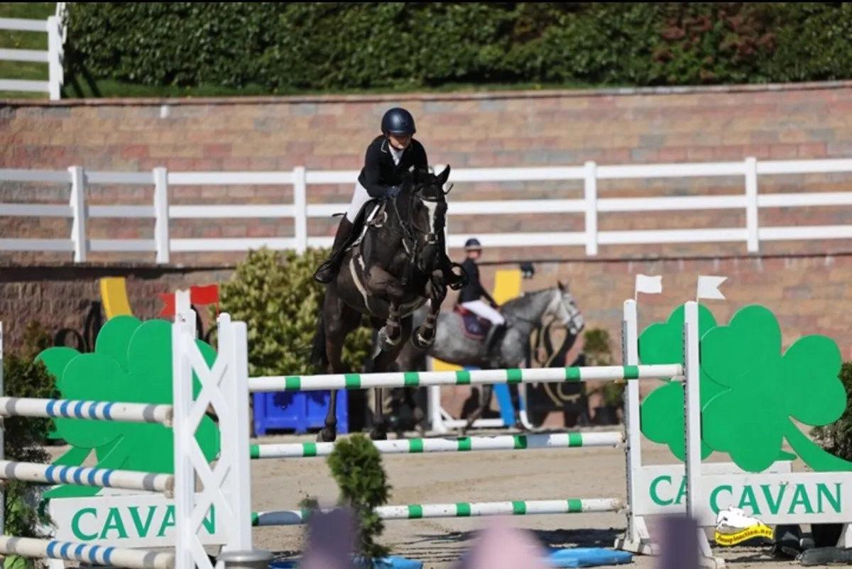 16h gelding by I’m special de muze - Image 4