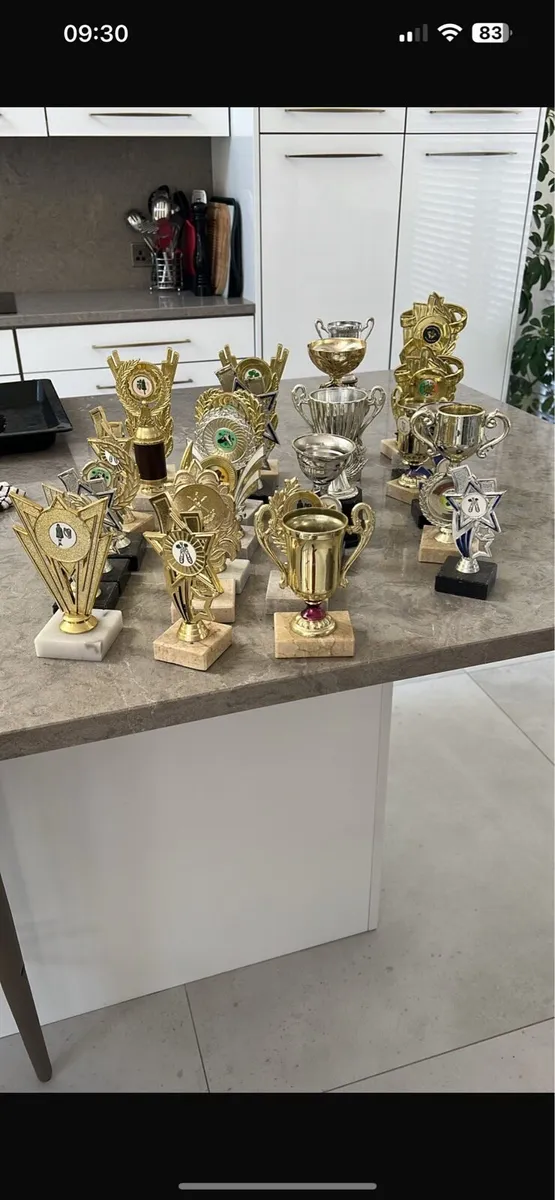 Trophies for sale - Image 1