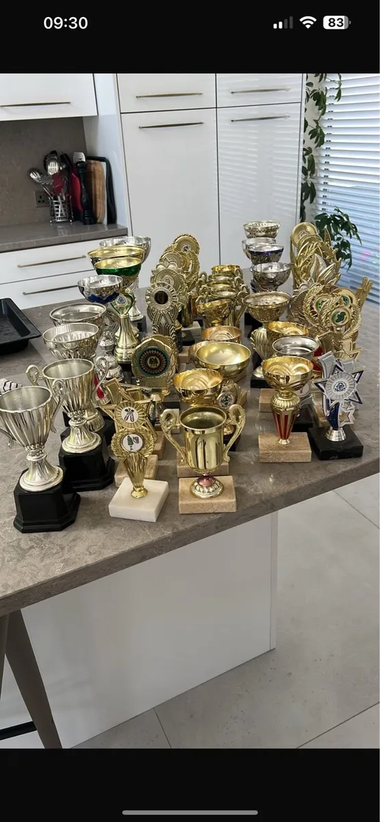 Trophies for sale - Image 2