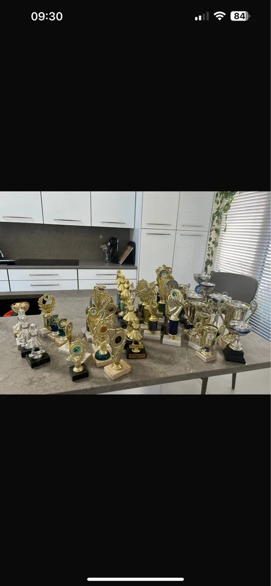 Trophies for sale - Image 3