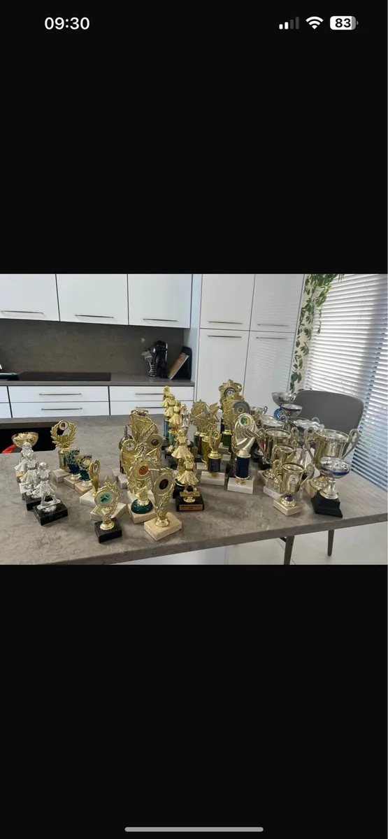 Trophies for sale - Image 4