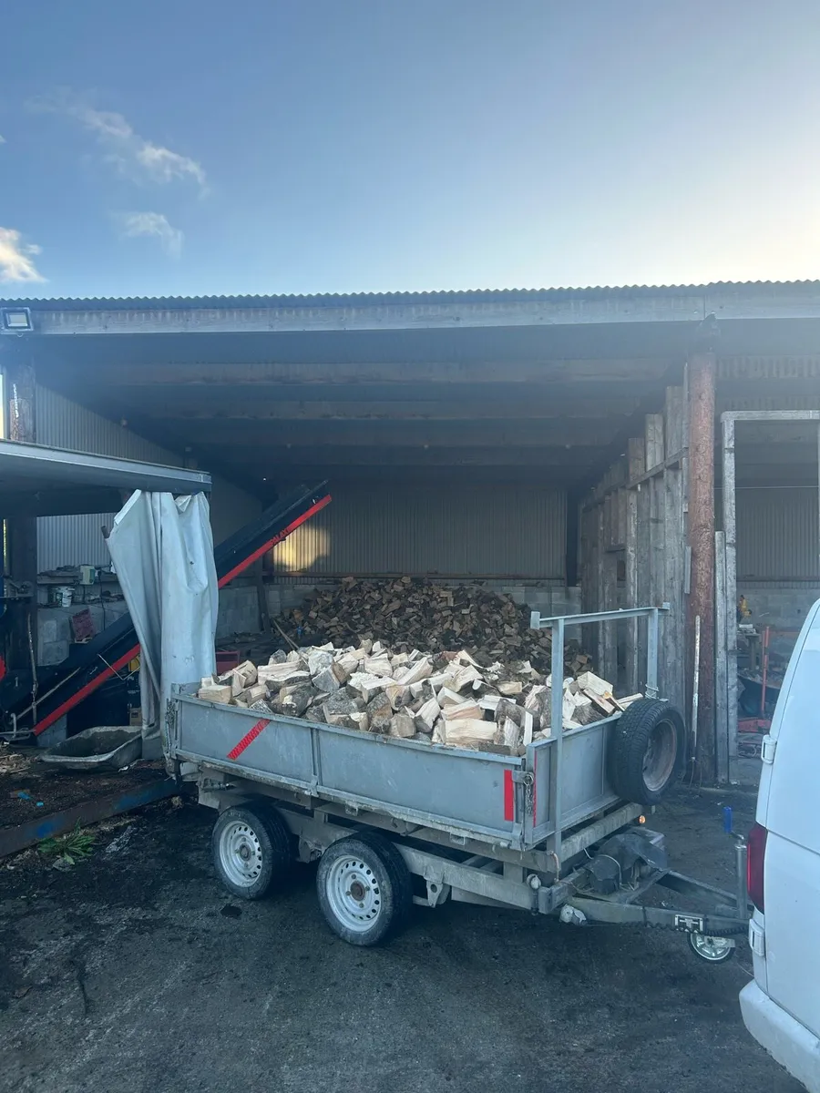 Seasoned Firewood - Image 4