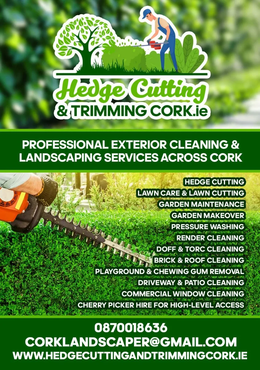 Garden Maintenance Hedge cutting grass