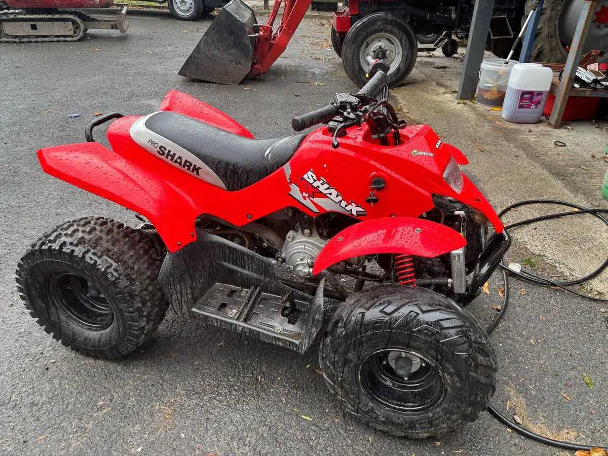 Quadzilla Pro Shark 100cc x 2 - Image 1