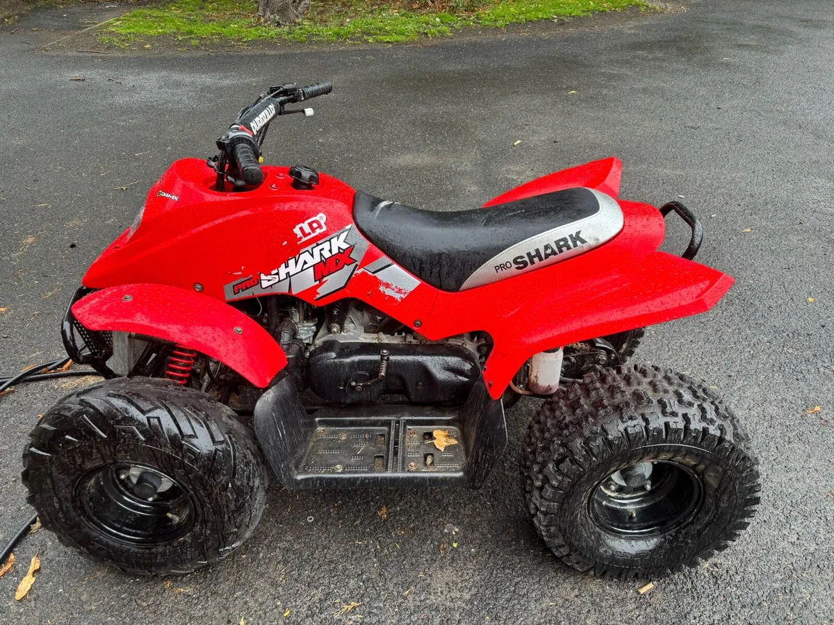 Quadzilla Pro Shark 100cc x 2 - Image 2