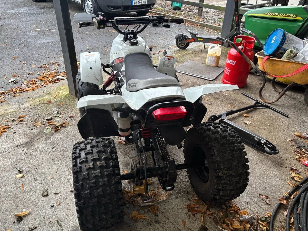 Quadzilla Pro Shark 100cc x 2 - Image 4