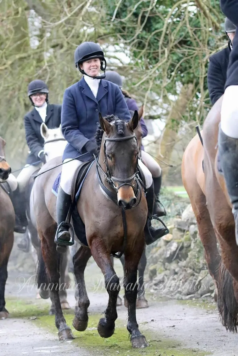 Exceptional Class 1 Connemara - Image 4