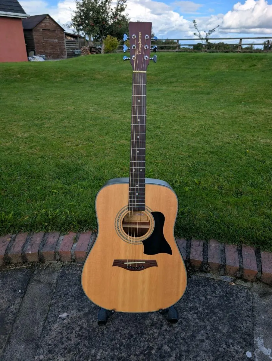 Tanglewood TW28SNQ Guitar - Image 1