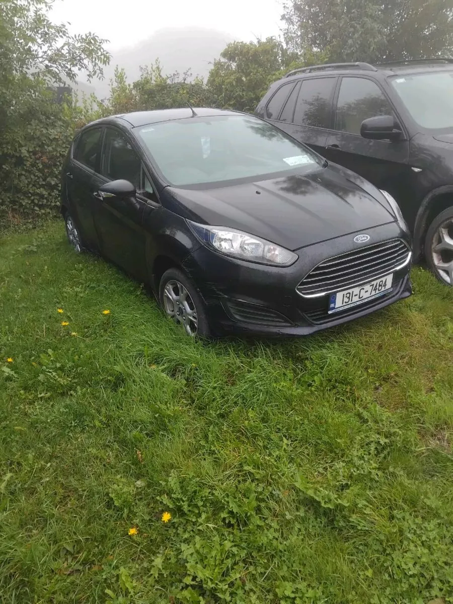 2013 fiesta - Image 1
