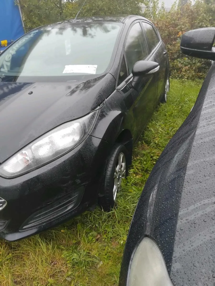 2013 fiesta - Image 2