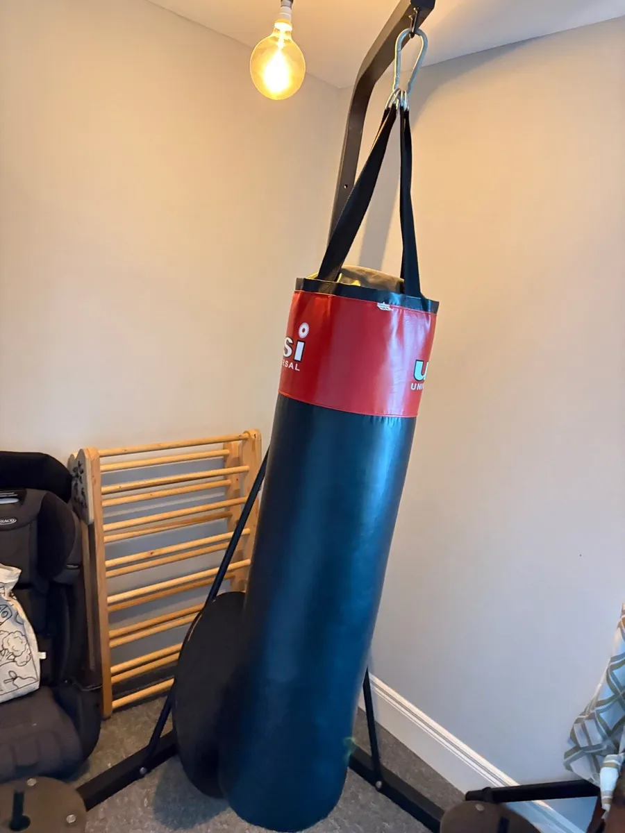 Boxing bag with stand and boxing speed ball - Image 1