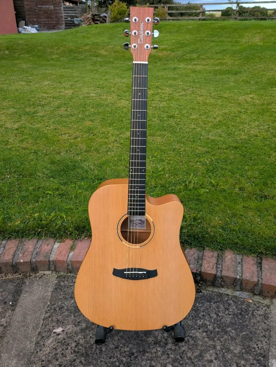 Tanglewood TWR2 Eletro-Acoustic Guitar - Image 1