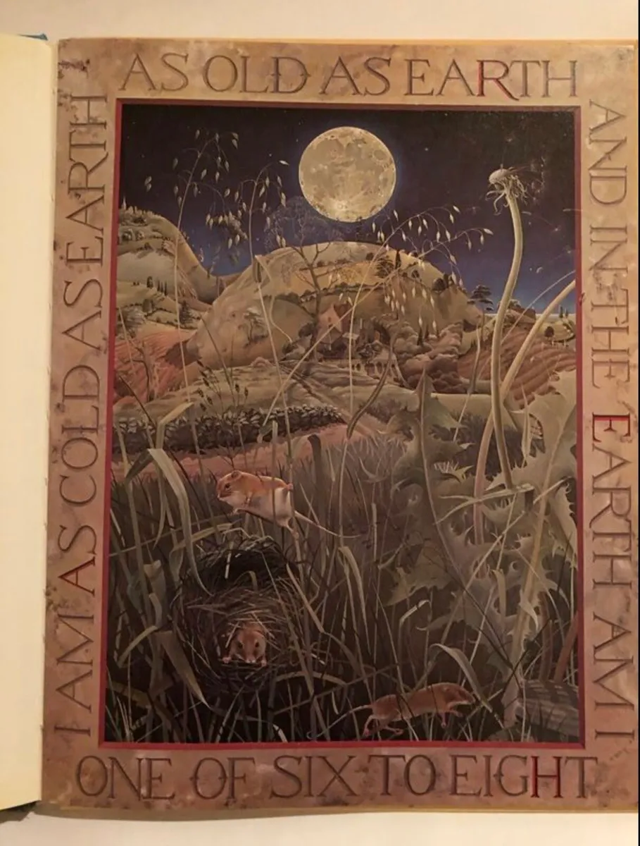 Children’s book - Image 3