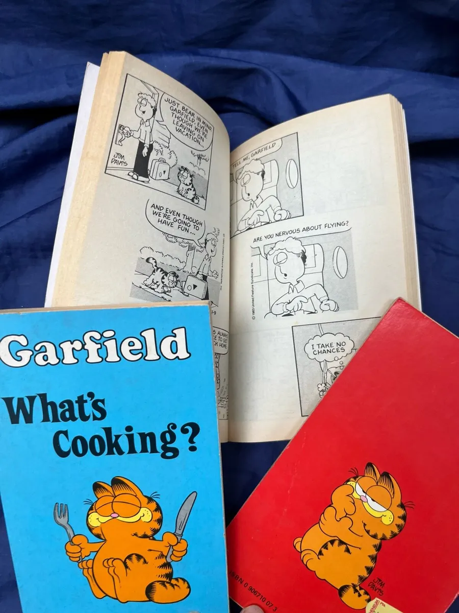 Garfield books - Image 2