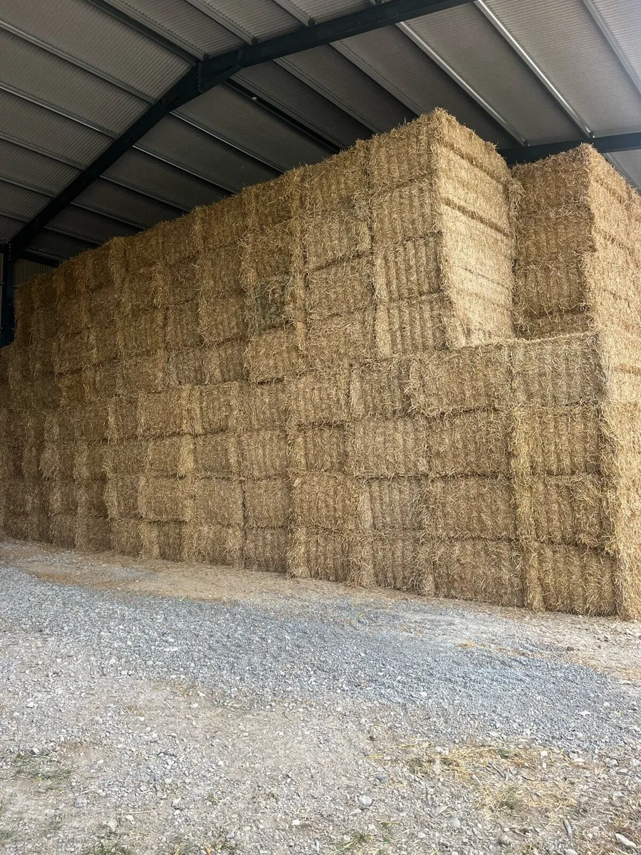 Wheat straw