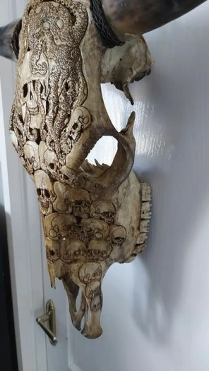 Carved Brown Bull Skull - Image 4