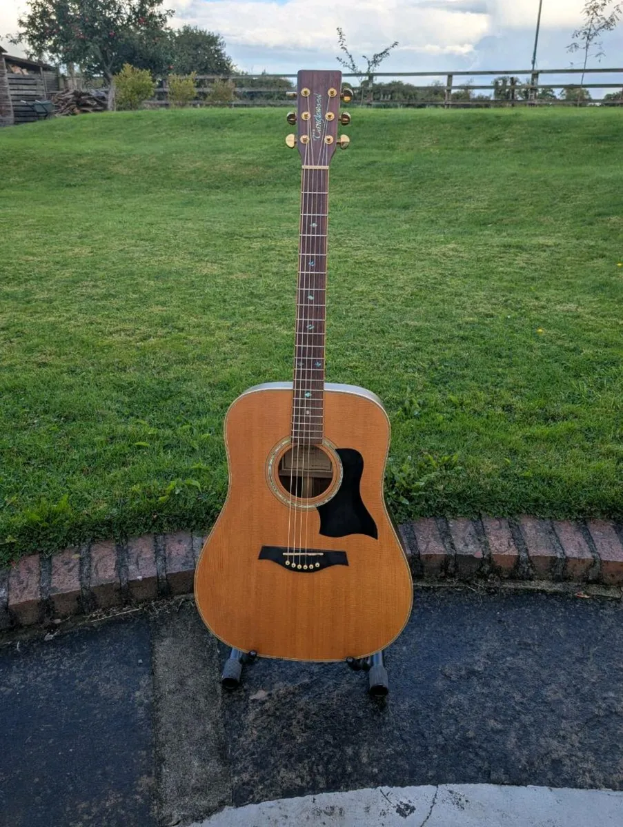 Tanglewood TW15 DLX-O Acoustic Guitar - Image 1