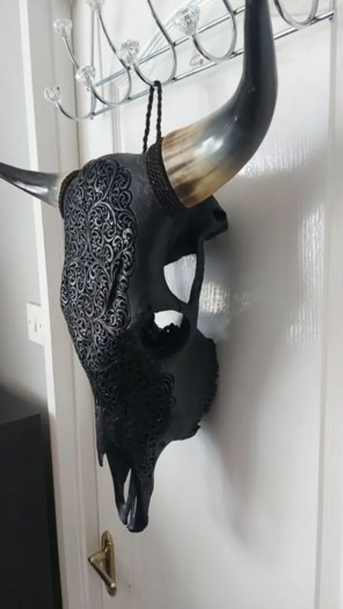 Carved Black Bull Skull - Image 4