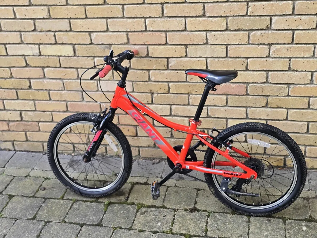 20" Giant XTC Kids Bikes