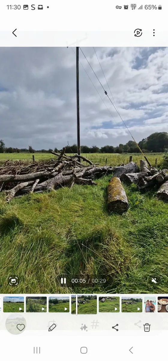 TIMBER - Image 4