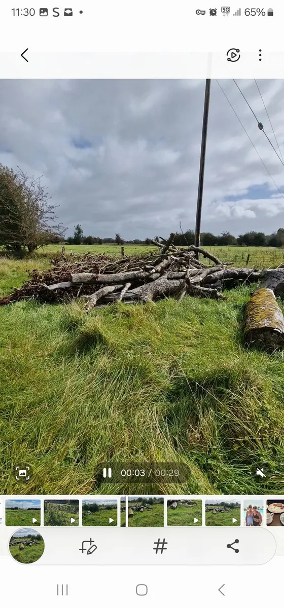 TIMBER - Image 1