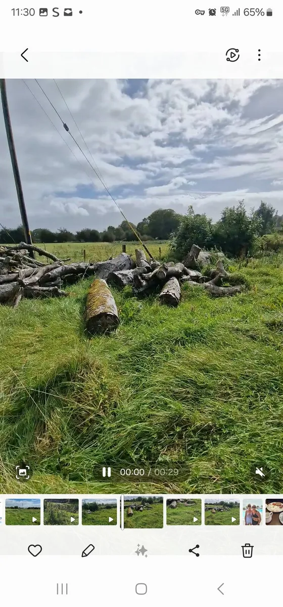 TIMBER - Image 2