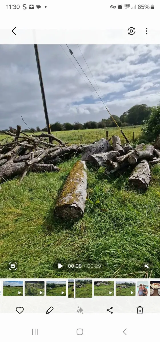 TIMBER - Image 3