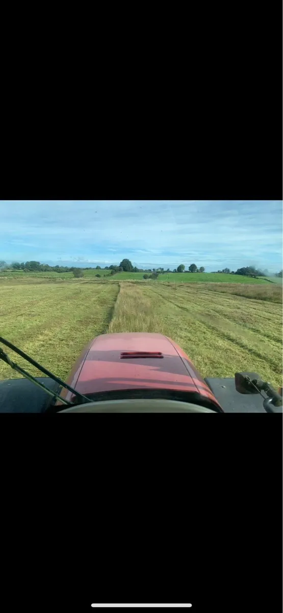 Mulching service - Image 2