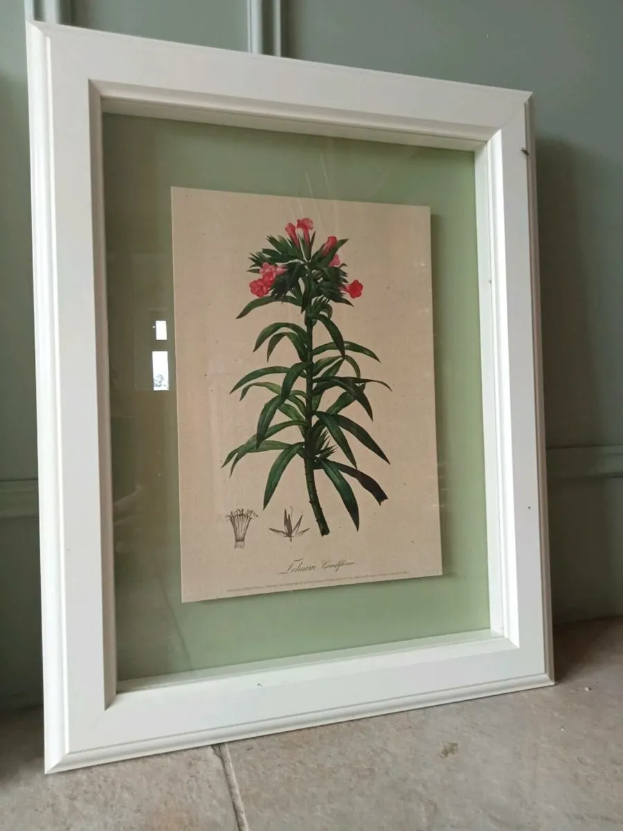 Framed prints - Image 3
